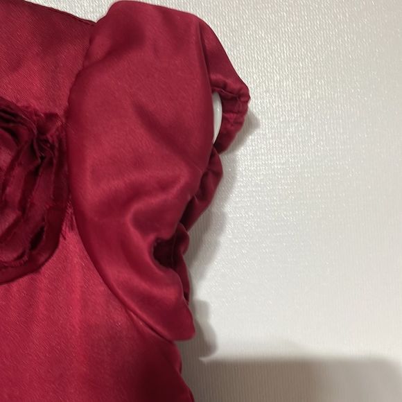 Rosette Burgundy Baby Girl Special Occasion Dress and Bloomers 18 months - Picture 8 of 13